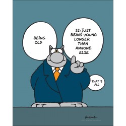 POSTER - OLD (50X40)