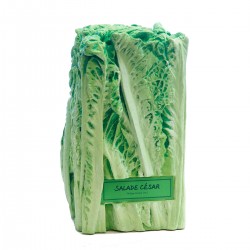 SALADE CÉSAR