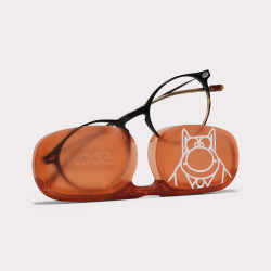 LUNETTES DE LECTURE