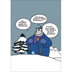 La Reflexion Du Chat