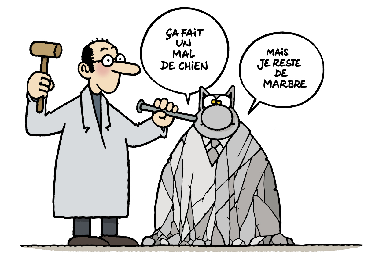 The Catalogue Philippe Geluck Le Chat